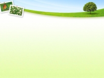 Презентация к уроку Круговорот воды в природе