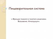 Презентация по биологии Пищеварительная система (8 класс)
