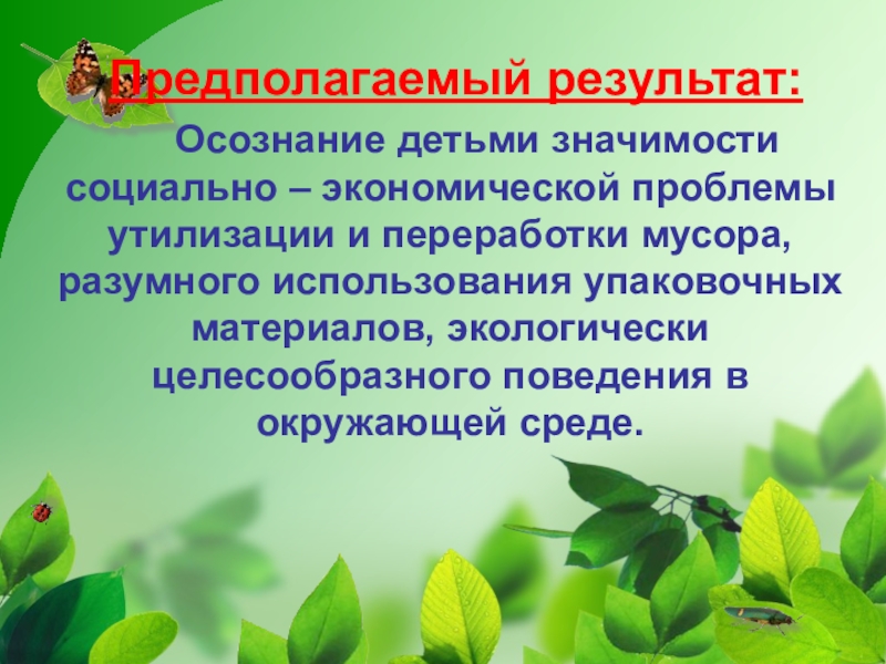 Значение окружающей среды. Предполагаемый результат экологического проекта.