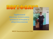 Портфолио Учителя истории и обществознания
