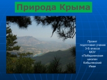 Презентация по окружающему миру