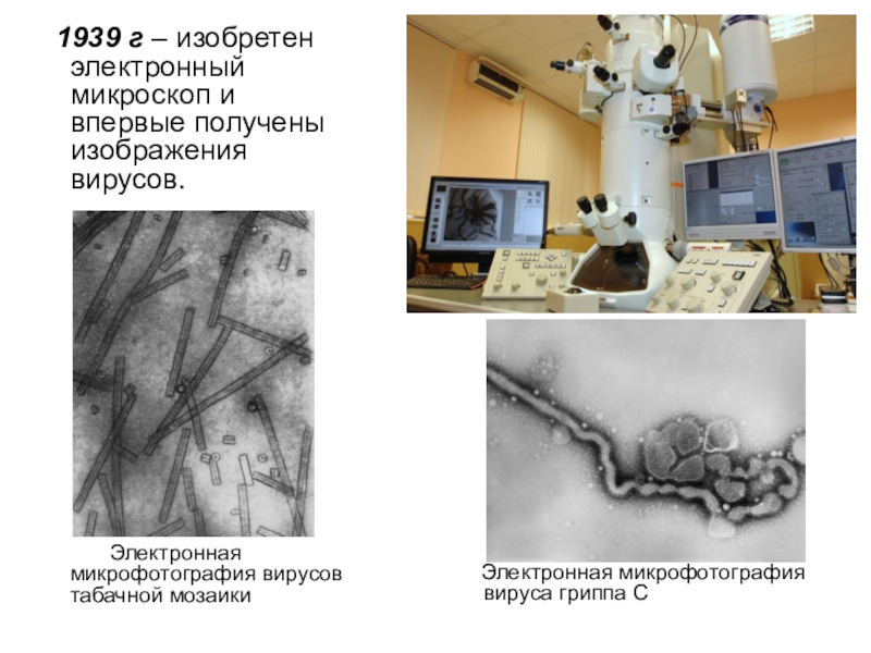 Кто изобрел электронный микроскоп