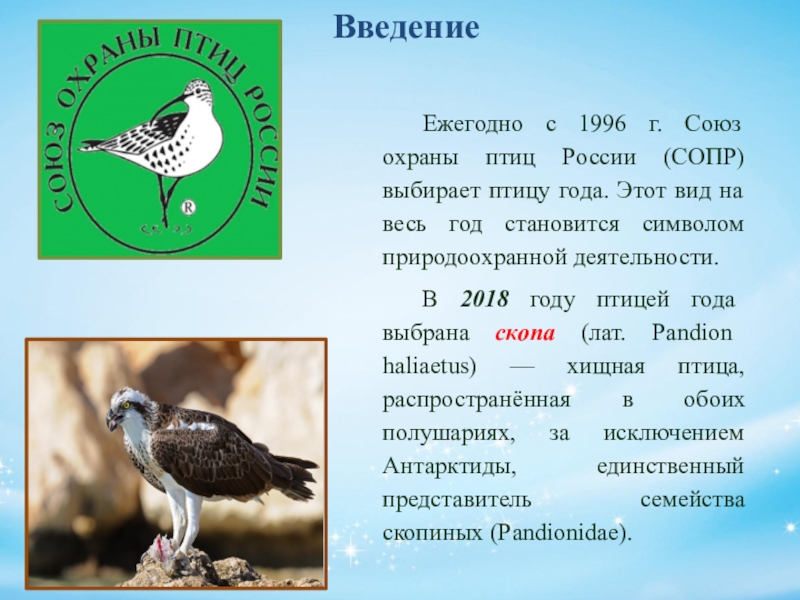 Птица года список. Союз охраны птиц России эмблема. Союз охраны птиц России или сопр. Союз охраны птиц России птица года 2021. Охрана птиц в России.