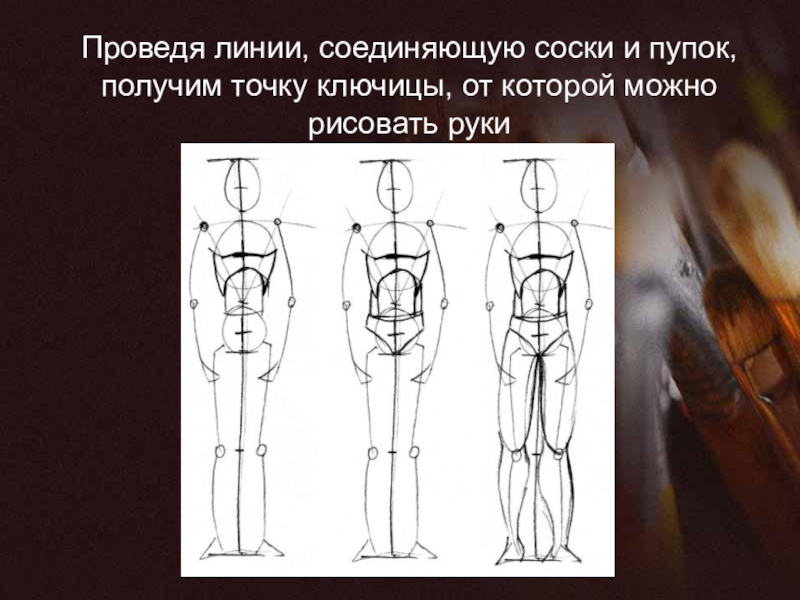 Пропорции человека презентация