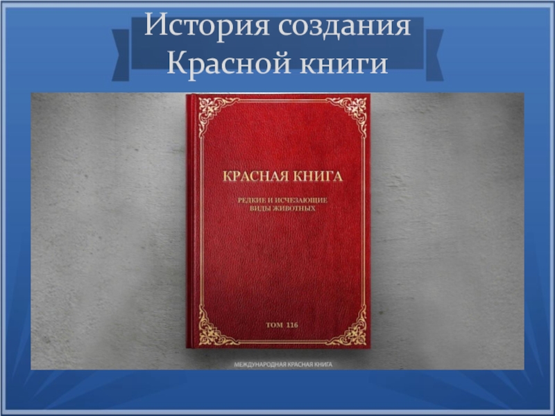 Проект на тему международная красная книга