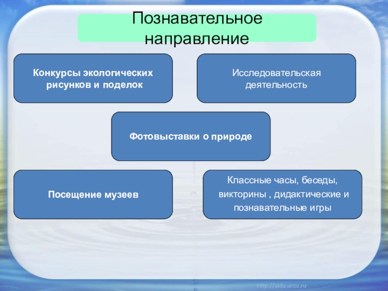 Направления конкурсов. Направления познавательной деятельности. Стороны познавательной деятельности. Познавательное направление мероприятия. Научно познавательное направление.