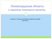 Презентация по географии на тему Ленинградская область с высоты птичьего полета