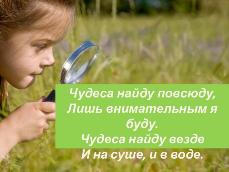 Какое есть чудо. Чудеса везде. Чудеса повсюду. А чудеса они повсюду. Чудеса повсюду были есть и будут.