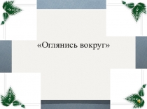 Презентация по литературному чтению 4 класс Р.Фраерман Девочка с камнем