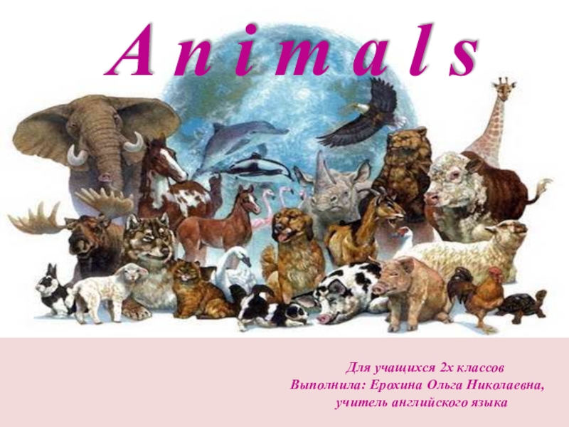 Презентация Презентация по английскому языку на тему Животные (2 класс)