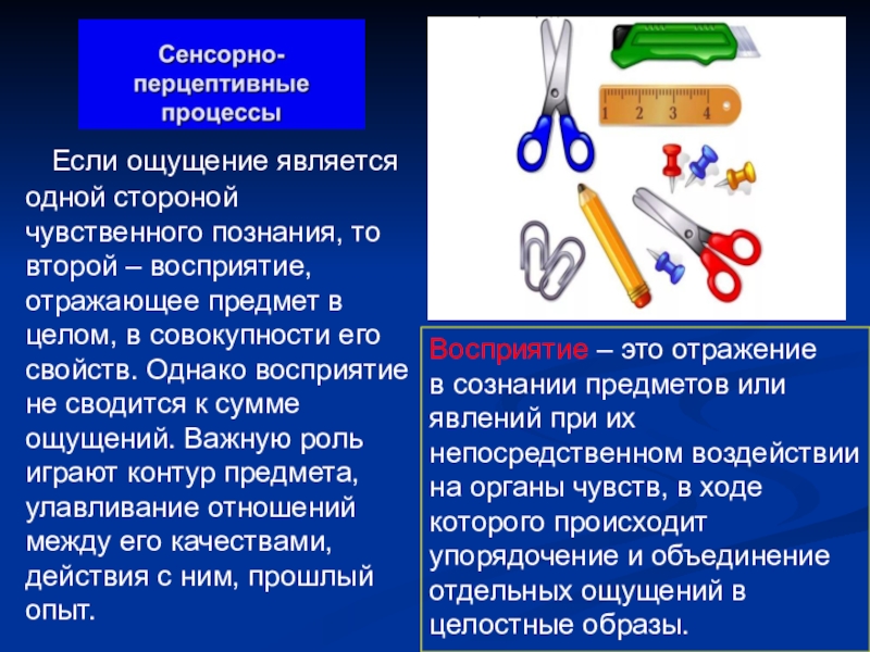 Внешние свойства предмета. Сенсорно-перцептивные процессы это. Сенсорно-Перцептивная сфера это. Сенсорно-перцептивные процессы ощущение. Сенсорно перцептивные Познавательные процессы.