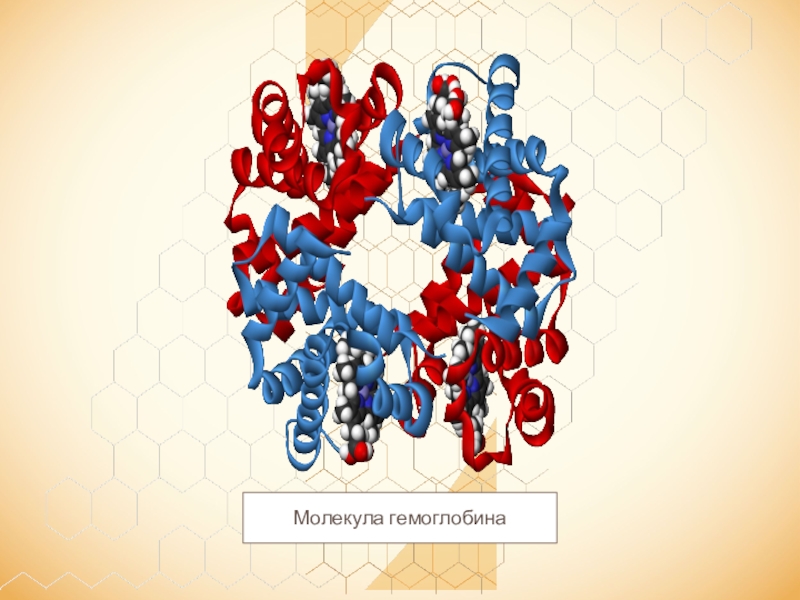 Молекула гемоглобина. Модель молекулы гемоглобина. 3д модель молекулы гемоглобина. Молекула гемоглобина 3 д ручкой.