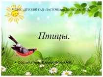 Презентация к занятию: Птицы
