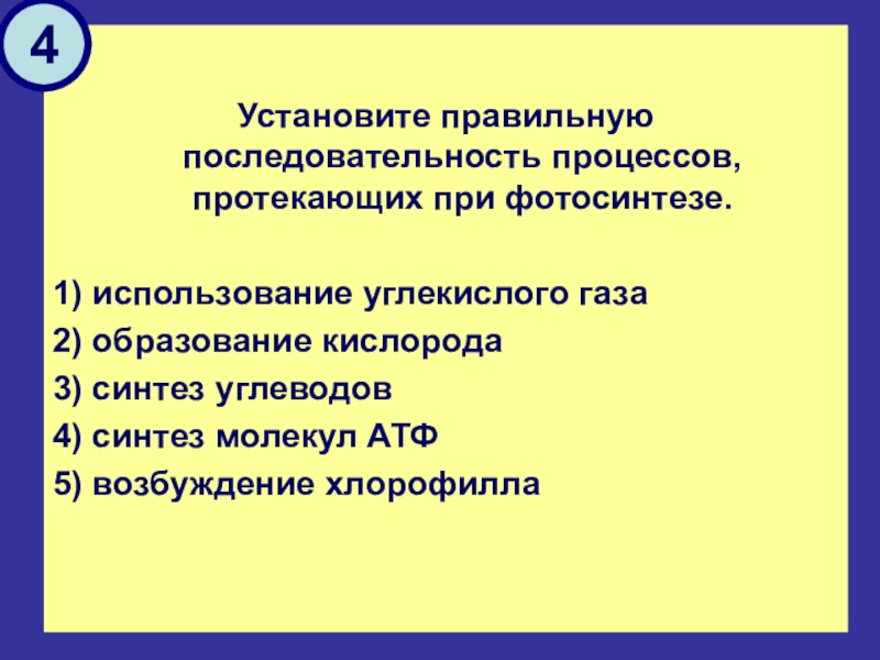 Установите последовательность процессов фотосинтеза возбуждение