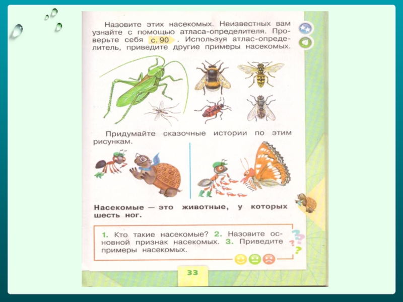 Конспект урока с презентацией 1 класс кто такие насекомые 1 класс