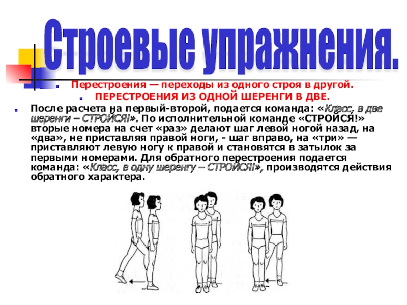 Назовите переход из одного строя в другой. Перестроение из одной шеренги в две. Построение в одну шеренгу. Команда в две шеренги становись или стройся. Команда для перестроения из 1 шеренги в две:.