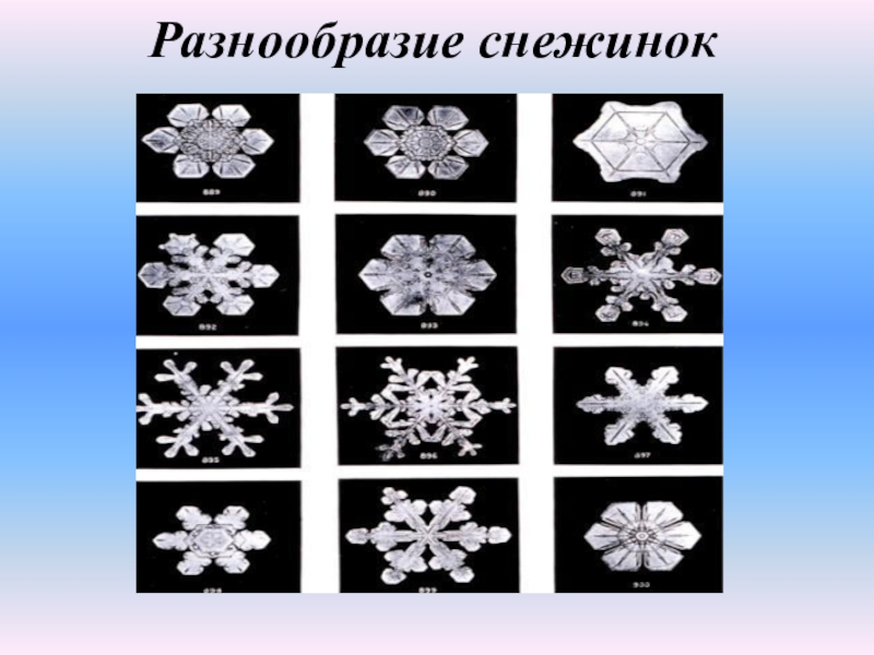 Типы снежков. Разнообразие снежинок. Разнообразие снежинок Кристаллы. Форма для снега. Виды снежных кристаллов.