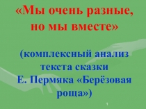 Презентация Мы очень разные, но мы вместе (8 класс)