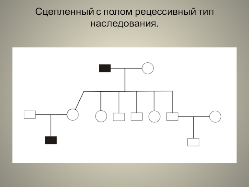 Признак рецессивный сцеплен с полом. Сцепленный с полом рецессивный Тип наследования. Генеалогическое Древо x-сцепленный рецессивный Тип наследования. Сцепленное с полом наследование родословная. Родословная рецессивное сцепленное с полом.