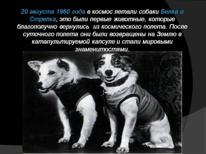 Исследование ссср. Исследование космоса в СССР. Факты об исследовании космоса в СССР. Исследование космоса в СССР фаты. Интересные факты о космосе в СССР.