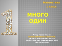 Презентация по математике на тему: Много. Один (1 класс)