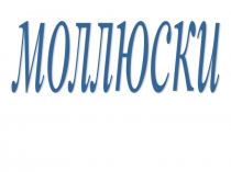 Презентация по биологии на тему:Моллюски