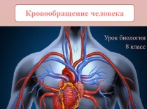 Презентация по биологии на тему Кровообращение человека