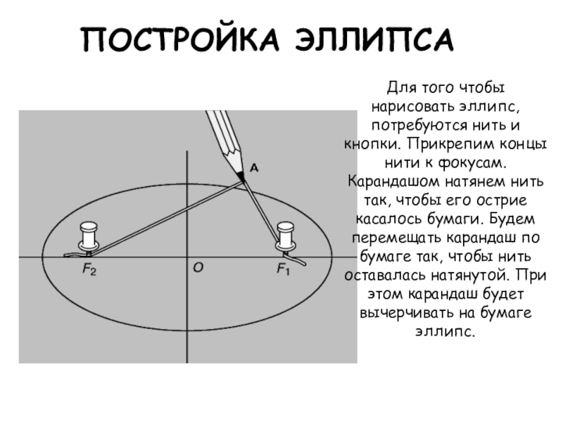 Реферат: Кривые третьего и четвертого порядка