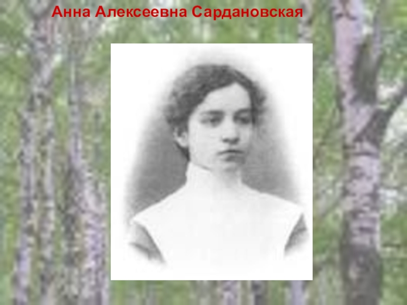 Сардановская анна алексеевна фото