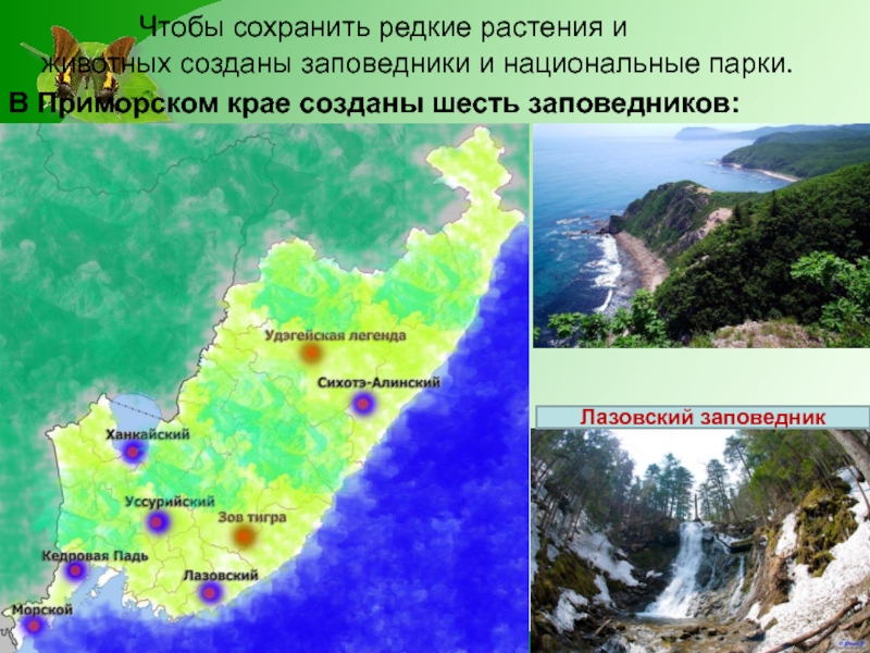 Лазовский заповедник где находится