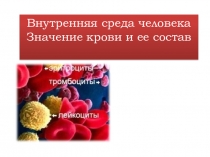Презентация по биологии на тему Внутренняя среда организма.Значение крови и ее состав