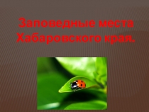 Заповедные места Хабаровского края.