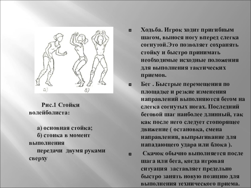 Техника стоек и перемещений в волейболе