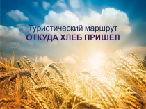 Презентация Откуда хлеб пришел