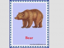 ЭОР презентация по английскому языку Животные