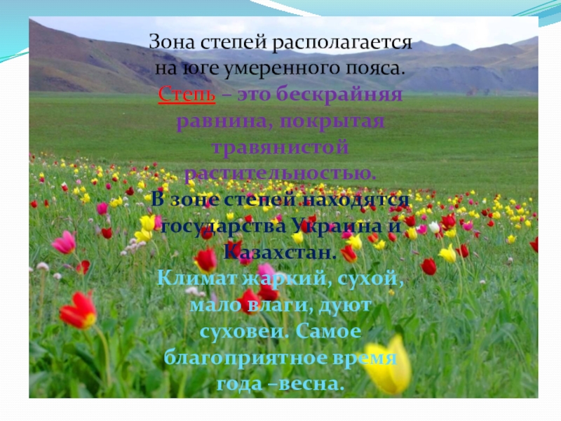 Зона степей находится. Умеренный пояс степь. Города Степной зоны. Зона степей расположена. Степи умеренного пояса презентация.