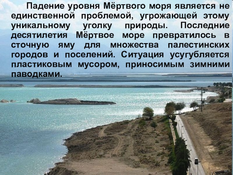 Мертвое море описание. Описание мертвого моря. Мертвое море характеристика. Мёртвое море уровень моря. Интересные факты о Мертвом море.