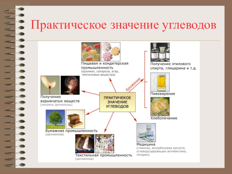 Использование значение. Схема применения углеводов. Применение углеводов. Практическое значение углеводов. Применение углерода.