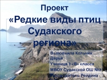 Презентация по окружающему миру на тему Редкие виды птиц Судакского района