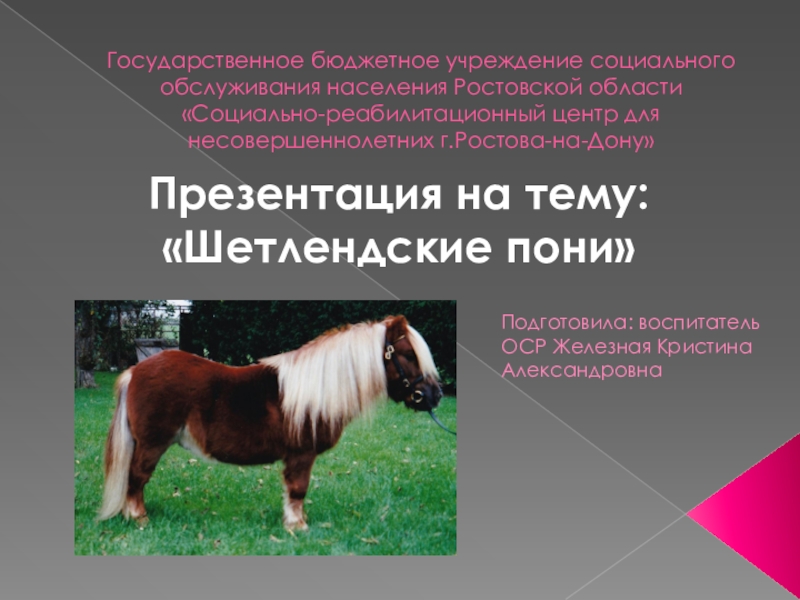 Презентация Презентация: Шетлендские пони: происхождение, характерологические особенности и уход