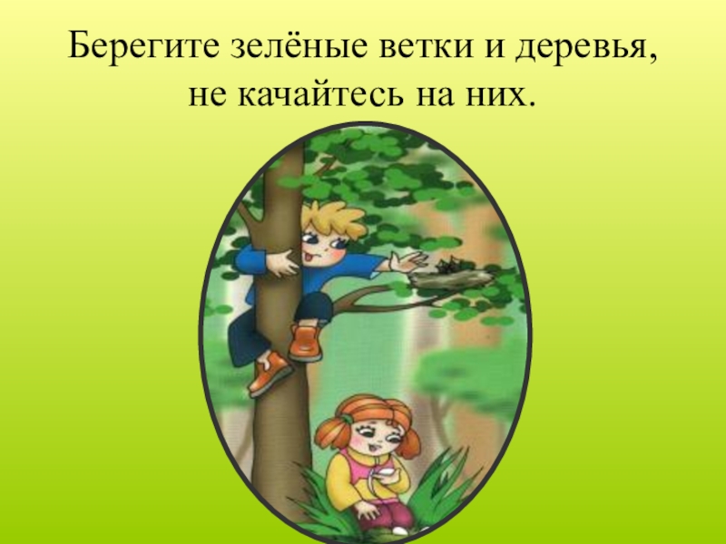 Берегите зелен. Презентация 3 класс окружающий мир берегите лес. Проект берегите лес 2 класс окружающий мир. Презентация для 4 класса по окружающему миру берегите лес цель. Зеленая ветка не дерево там не куст зеленая ветка.