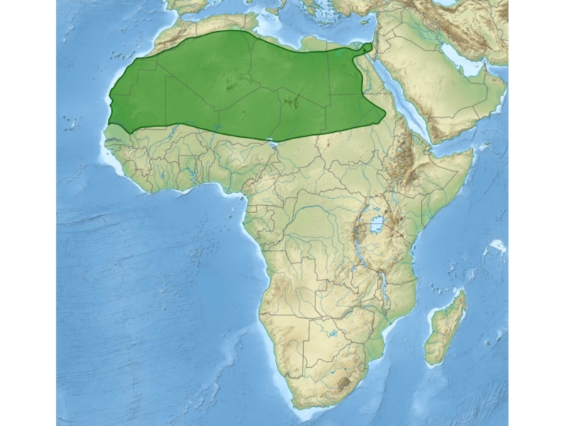 Какова роль африки в мире. Путешествие по Африке 5 класс. Африка 5 класс география. Маршрут путешествия по Африке 7 класс. Путешествие по Африке карта дети.