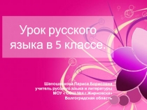 Презентация по русскому языку на тему  Род имен существительных ( 5 класс)_