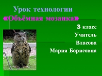 Урок-презентация. Объёмная аппликация Филин на ветке из гофрированной бумаги. з класс.