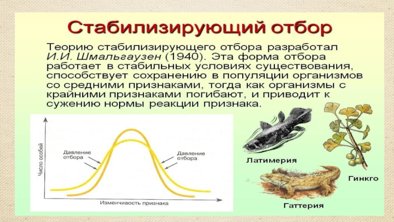 5 примеров естественного отбора