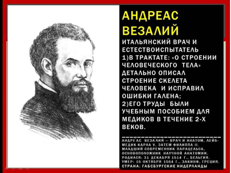 Везалий открытия. Везалий заслуги. Андреаса Везалия вклад в биологию. Везалий врач. Основные труды Везалия.