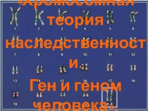 Презентация по биологии на тему Сцепленность с полом