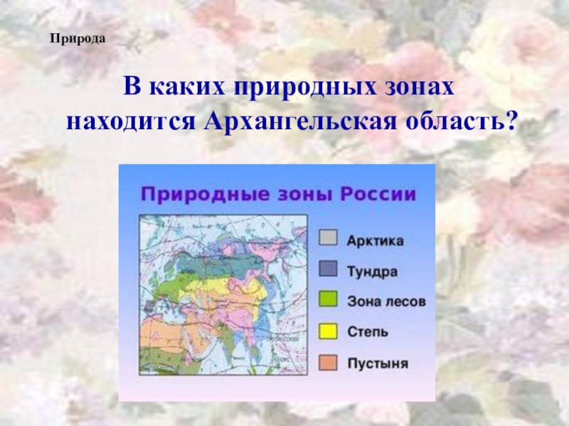 Архангельская область какая природная зона