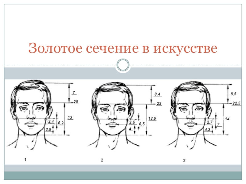 Золотое сечение бога