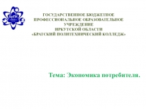 Презентация по обществознанию на тему Экономика потребителя